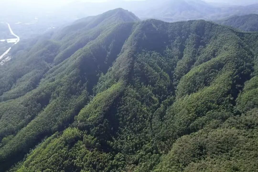 在漳浦“卖空气”，一年赚了73万